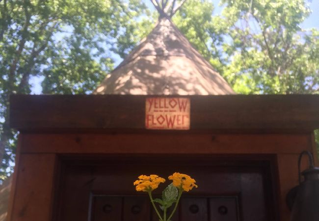 Cabin in New Braunfels - Tipi 5 - Yellow Flower