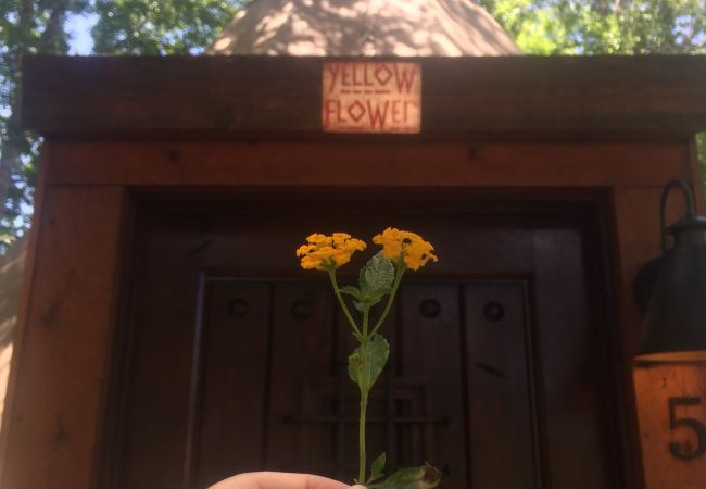 House in New Braunfels - Tipi 5 - Yellow Flower House in New Braunfels - Tipi 5 - Yellow Flower