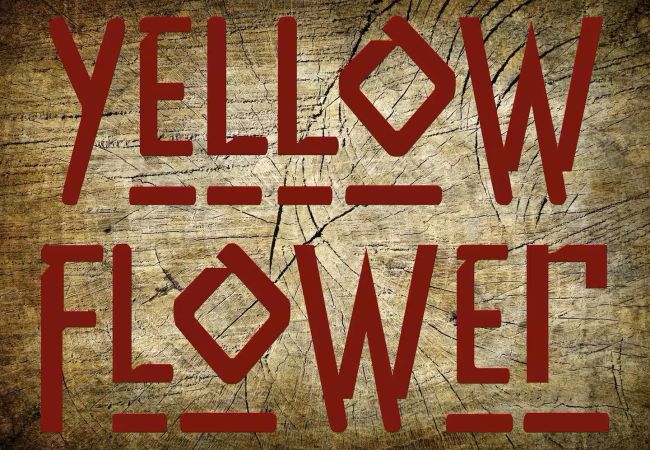 House in New Braunfels - Tipi 5 - Yellow Flower House in New Braunfels - Tipi 5 - Yellow Flower