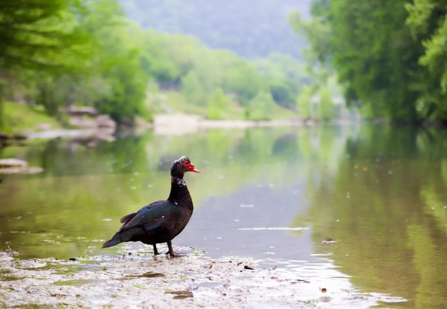 House in New Braunfels - Earth Haus LITE House in New Braunfels - Earth Haus LITE